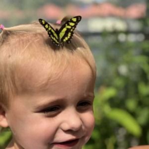 Meet your Posher, Jan